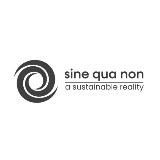 Sinequanon